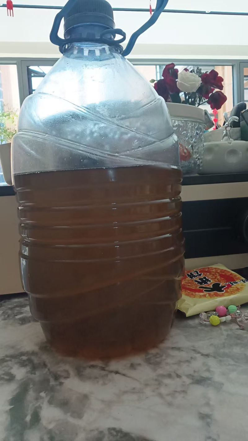 农户手中野生山茶毛油
