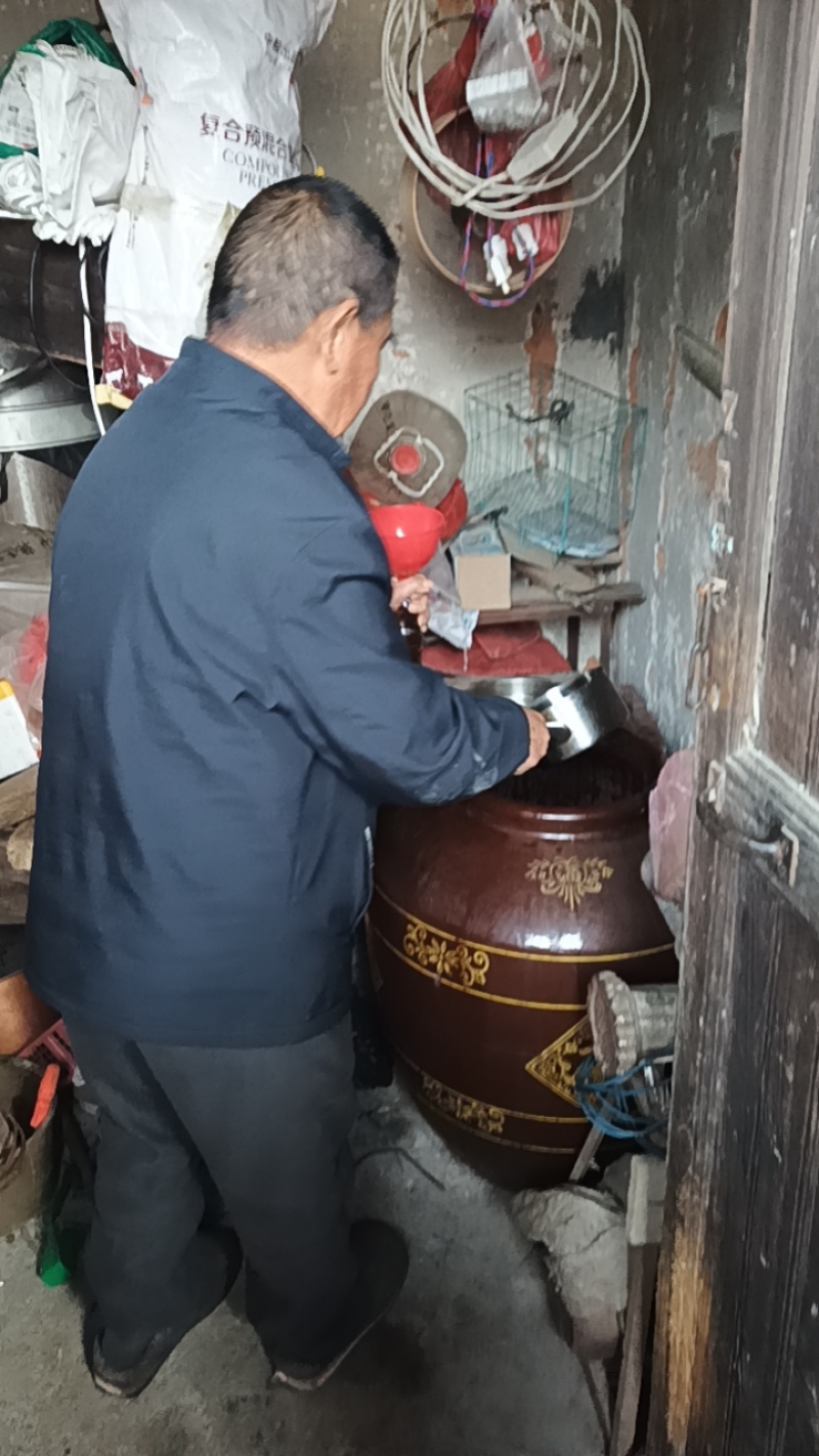 农户手中野生山茶毛油