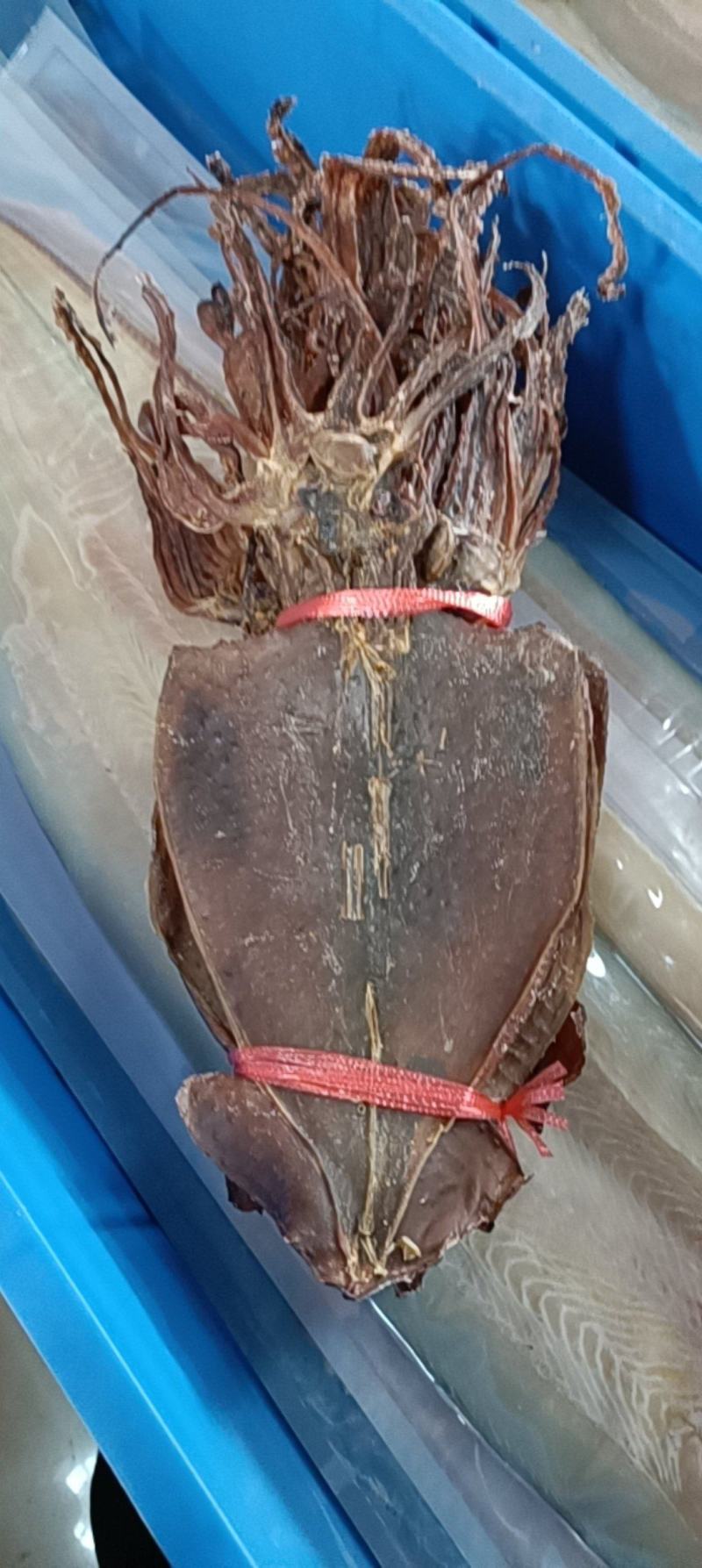 特干鱿鱼，鱿鱼干，本地鱿鱼鱿鱼淡干鱿鱼干
