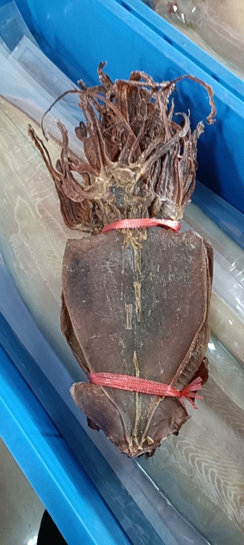 特干鱿鱼，鱿鱼干，本地鱿鱼鱿鱼淡干鱿鱼干