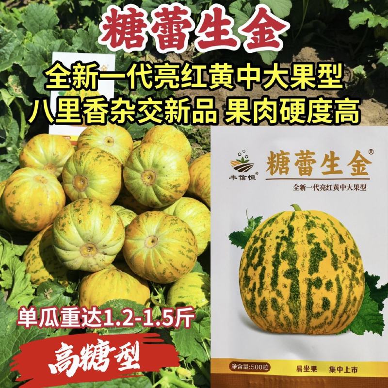 丰信恒八里香杂交甜瓜种籽糖蕾生金甜瓜种子高糖香味浓香瓜种