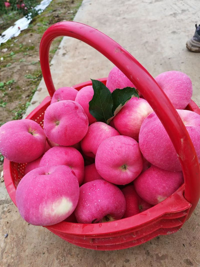 高山货，过春节的礼物快快下手