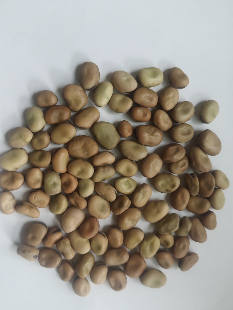 干蚕豆精品