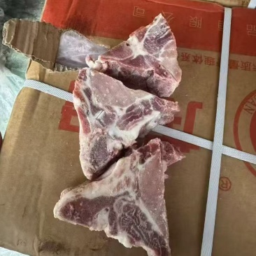 多肉龙骨块