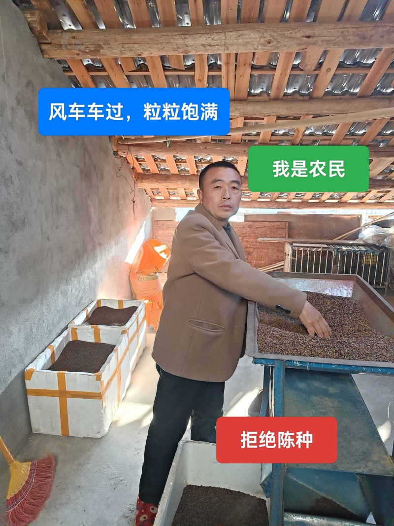 2θ25年黄柏新种子，保证正品，决不掺假。