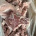 多肉龙骨块