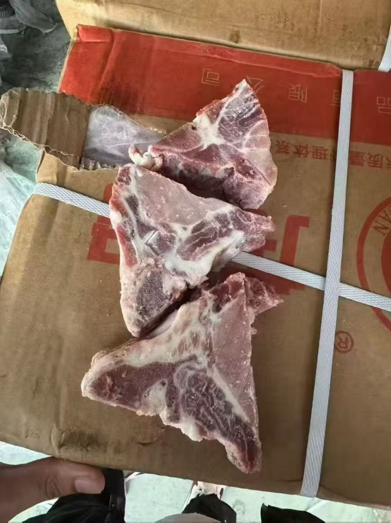 多肉龙骨块