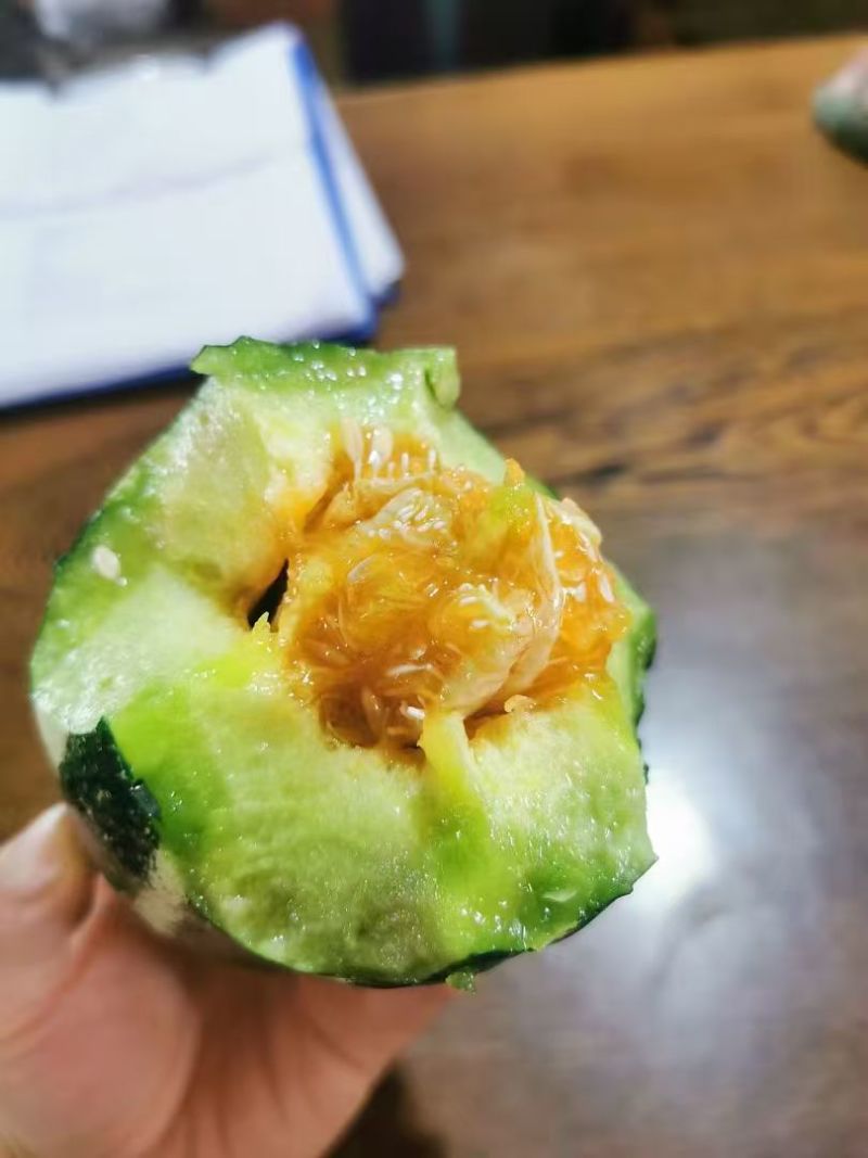 寿光美都麒麟瓜2k礼品小西瓜种苗早熟抗病网纹瓜羊角蜜甜瓜