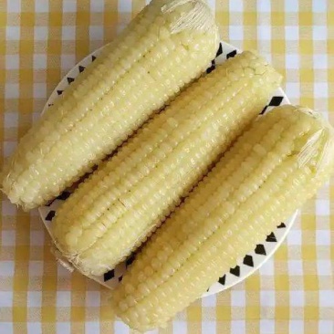 正宗白甜糯玉米，颗粒饱满，软糯香甜，大量现货，一件代发