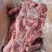 多肉猪骨块