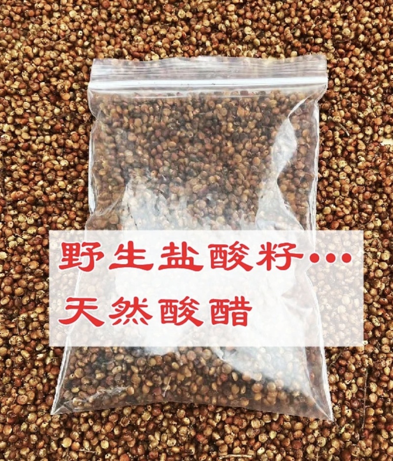 盐霜果盐霜柏，盐肤木籽