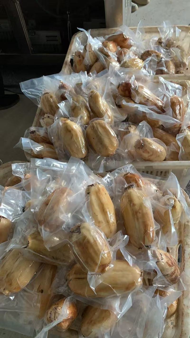 陕西大荔九孔粉藕，现挖现发，真空锁鲜，产地直发。
