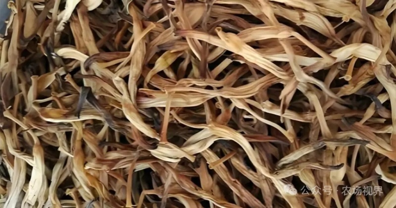 正宗高山红薯梗