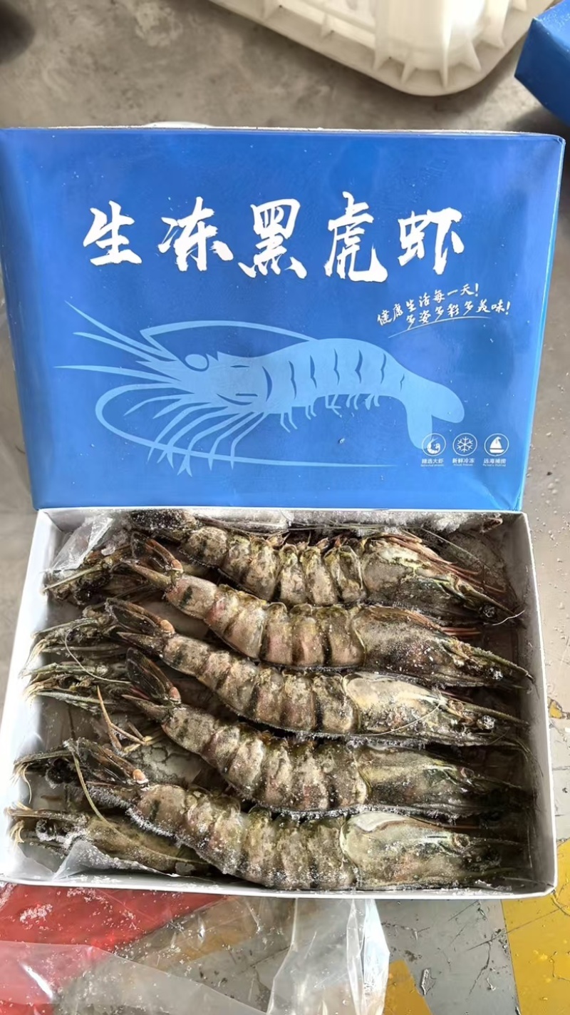 黑虎虾，黑虎大虾，虎虾，鲜活速冻！规格齐全