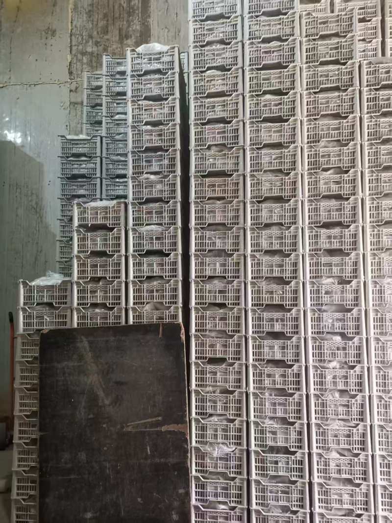克伦生，二级果，量大