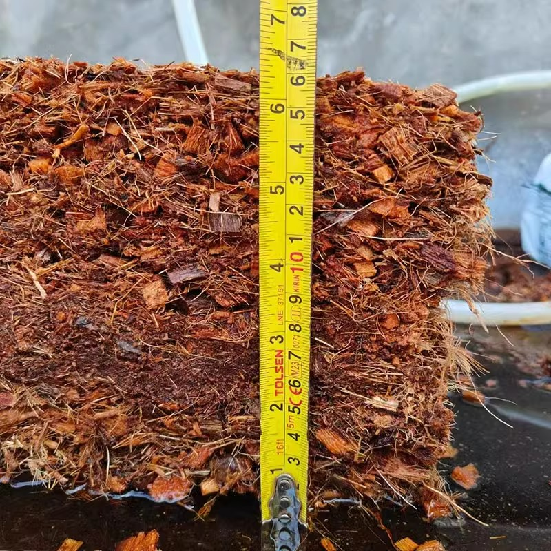 有机无土栽培立体栽培条袋无土栽培蔬菜番茄西红柿椰糠基质种