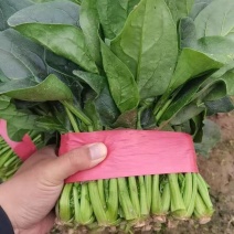 立体菠菜