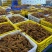 先炸后卤五香虎皮凤爪商用农贸批发零售熟食卤味