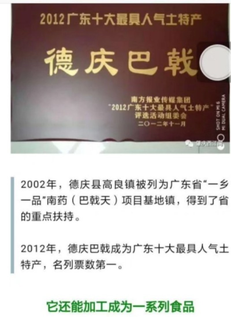 正宗德庆十年制何首乌巴戟天七蒸七晒。天然泉水柴火蒸制而成
