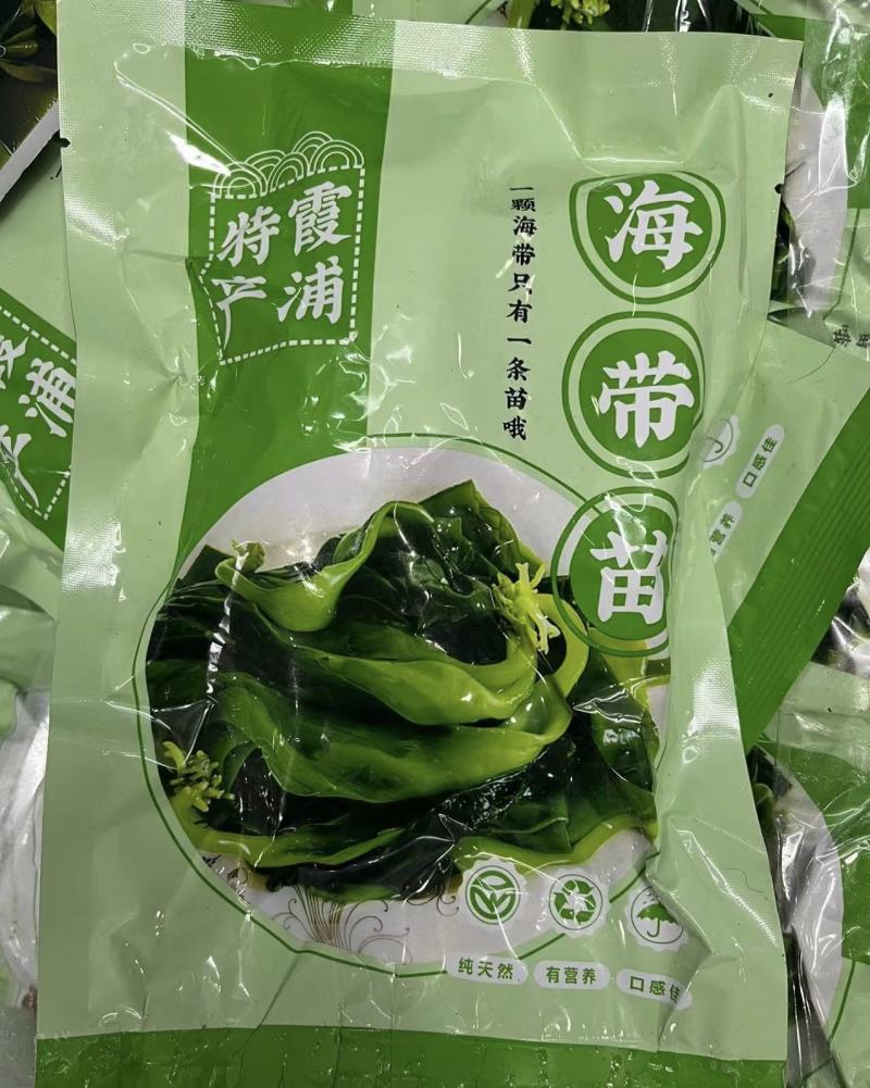 海带苗火锅海带苗海带烘干海带苗海带芽盐制海带苗产地发货