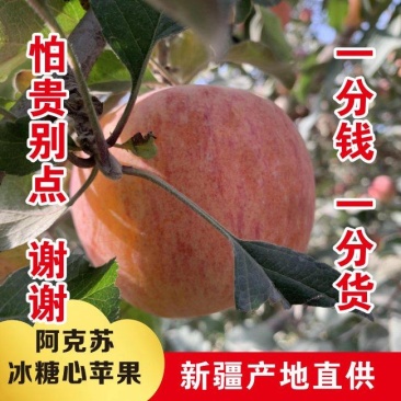 阿克苏冰糖心苹果，大量上市，全国发货