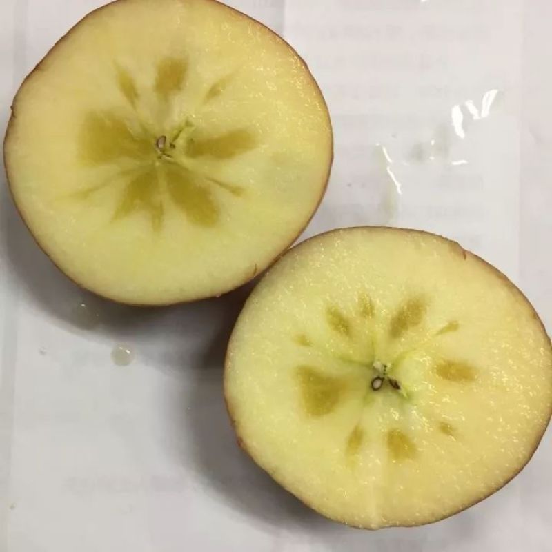 阿克苏冰糖心苹果，大量上市，全国发货
