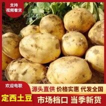 甘肃定西土豆/产区直发/大量现货/欢迎选购