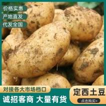 黄心土豆甘肃土豆海量货源支持视频和实地看货欢迎咨询