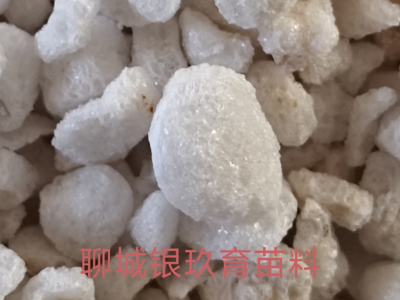 育苗珍珠岩，12-18目，3.6mm大颗粒，两次过筛一风