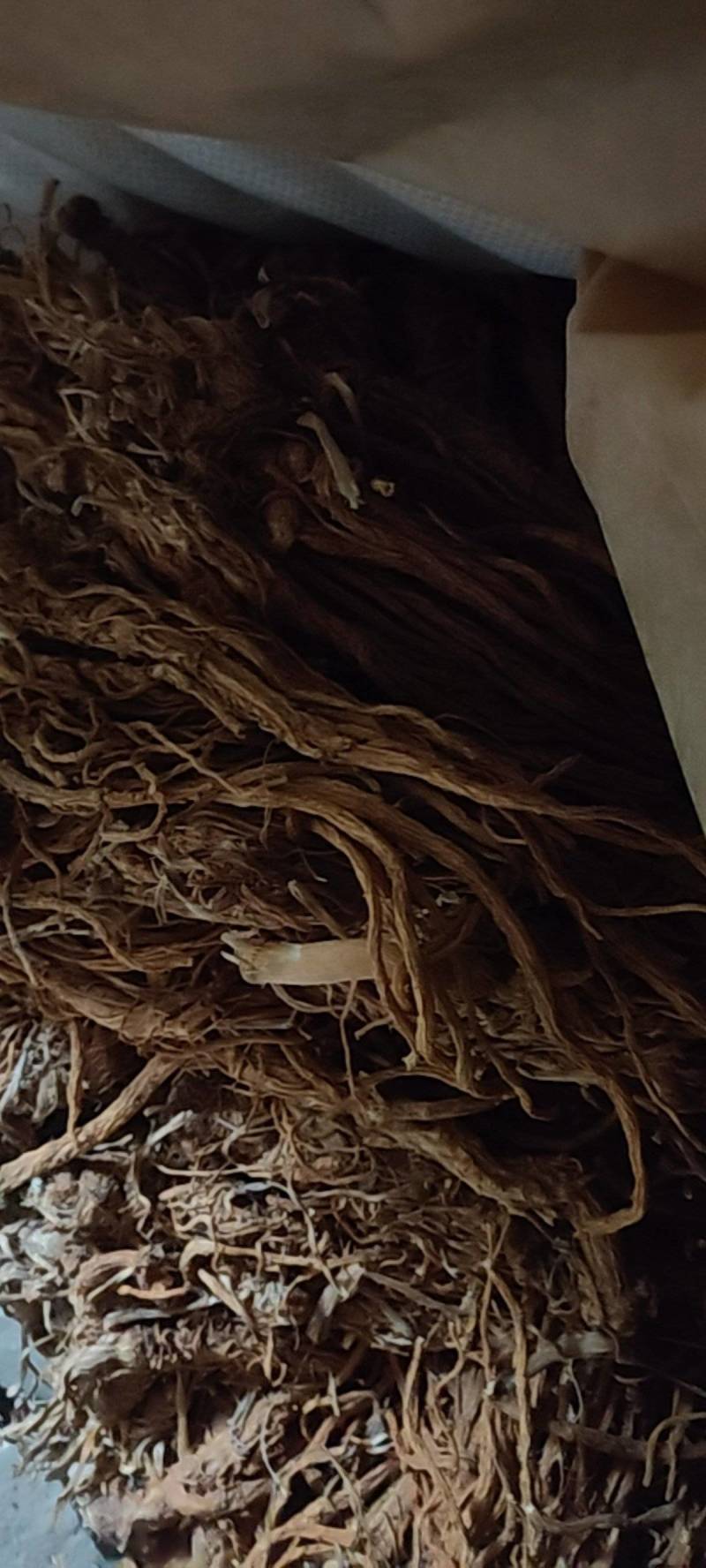独活，保质保量，量大从优，欢迎老板前来选购一手货源