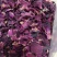干玫瑰花瓣AA级大马士革玫瑰花