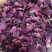 干玫瑰花瓣AA级大马士革玫瑰花