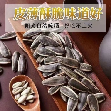 内蒙古葵花瓜子大量上市，工厂直发，全国发货，欢迎今天沟通