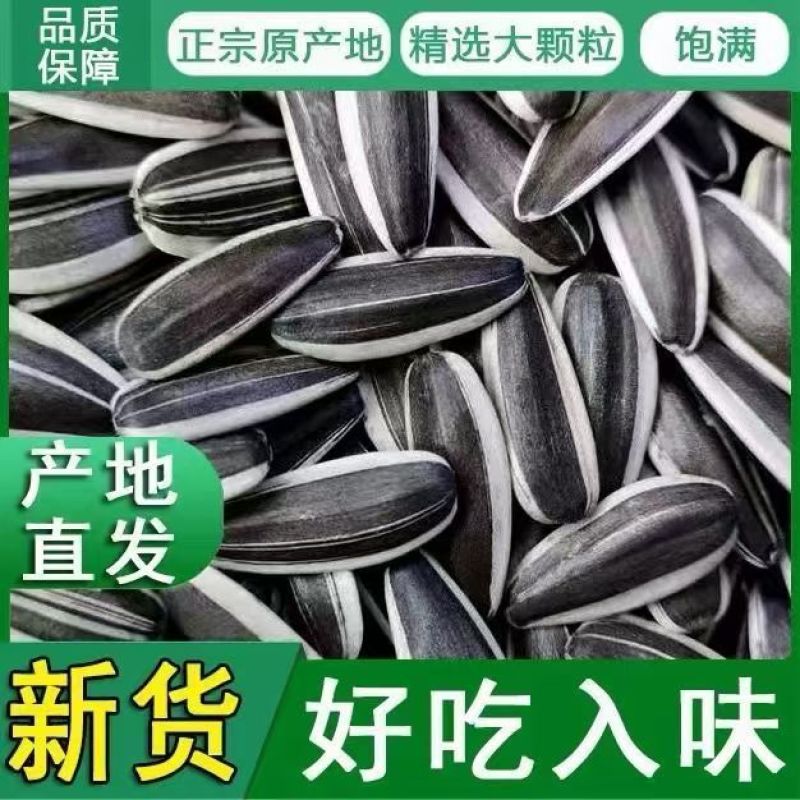 内蒙古葵花瓜子大量上市，工厂直发，全国发货，欢迎今天沟通