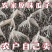 内蒙古葵花瓜子大量上市，工厂直发，全国发货，欢迎今天沟通