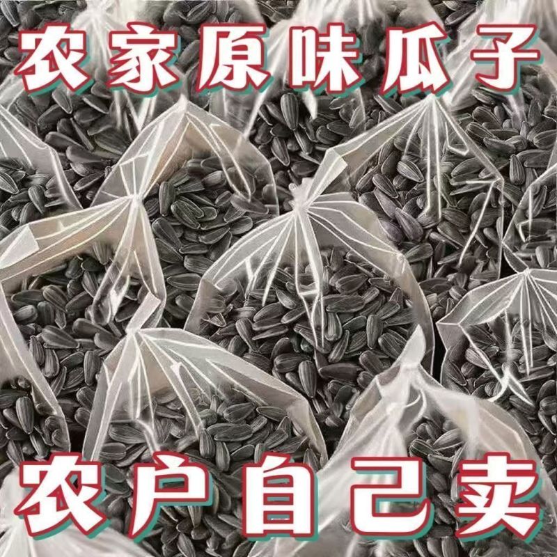 内蒙古葵花瓜子大量上市，工厂直发，全国发货，欢迎今天沟通