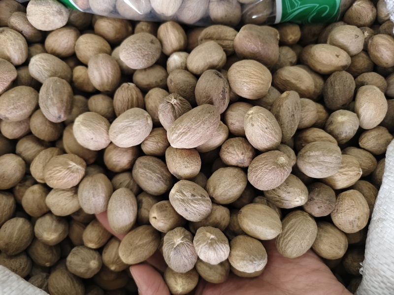 正宗肉豆蔻各种规格肉豆蔻齐全量大优惠