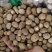 正宗肉豆蔻各种规格肉豆蔻齐全量大优惠