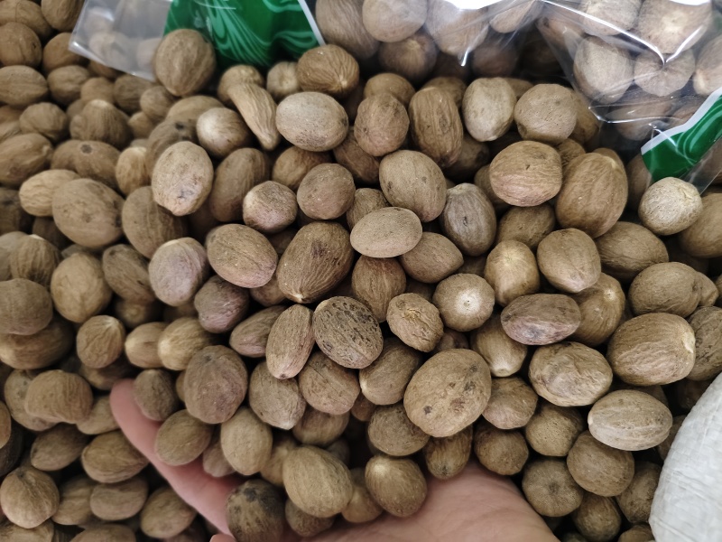 正宗肉豆蔻各种规格肉豆蔻齐全量大优惠