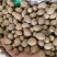 正宗肉豆蔻各种规格肉豆蔻齐全量大优惠