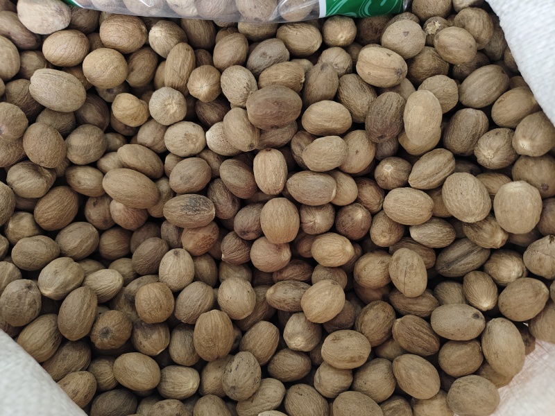 正宗肉豆蔻各种规格肉豆蔻齐全量大优惠