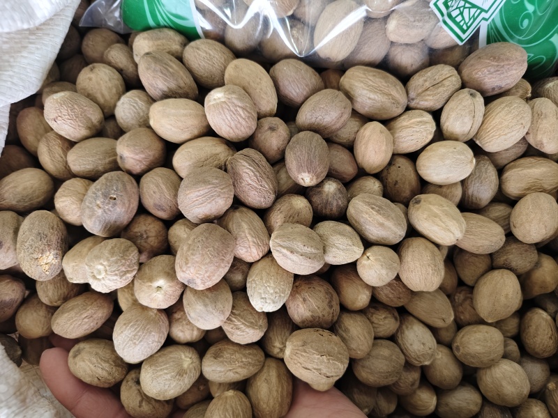 正宗肉豆蔻各种规格肉豆蔻齐全量大优惠
