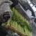 山东铁杆芹菜香芹对接全国量大从优欢迎询价正在热卖中