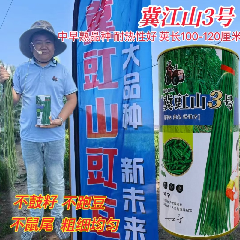 拖车头冀豇山3号早熟长豆角种子荚长深绿色豇豆种子无鼠尾不