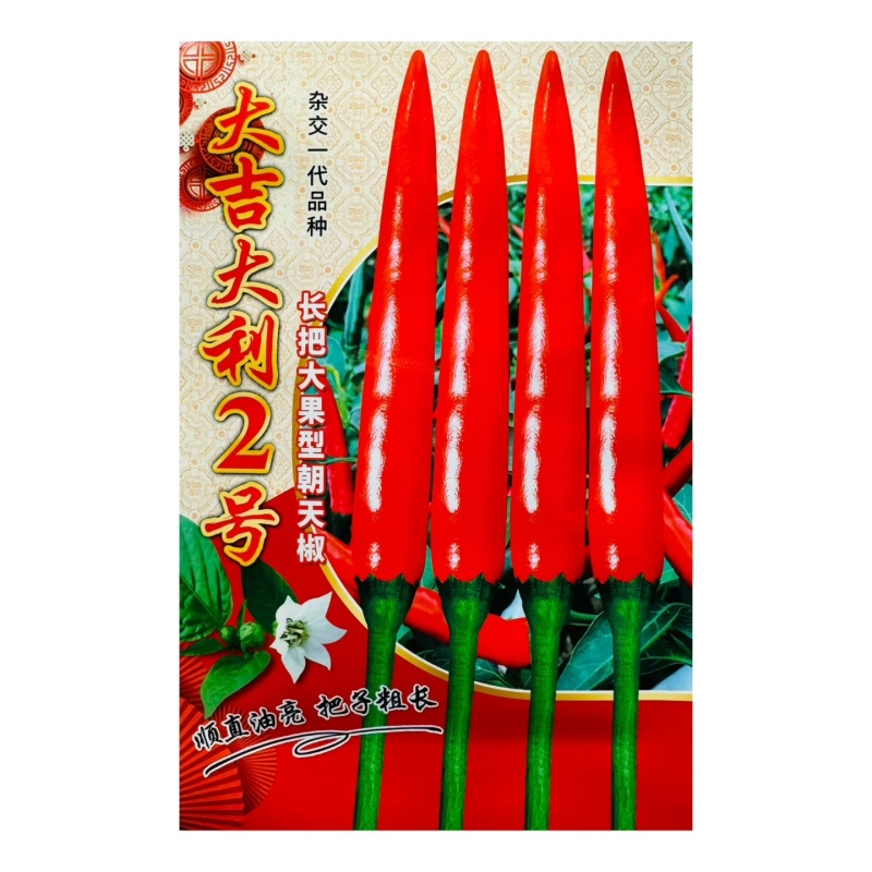 大吉大利2号辣椒种子大果长把抗性强高产大吉大利二号朝天椒
