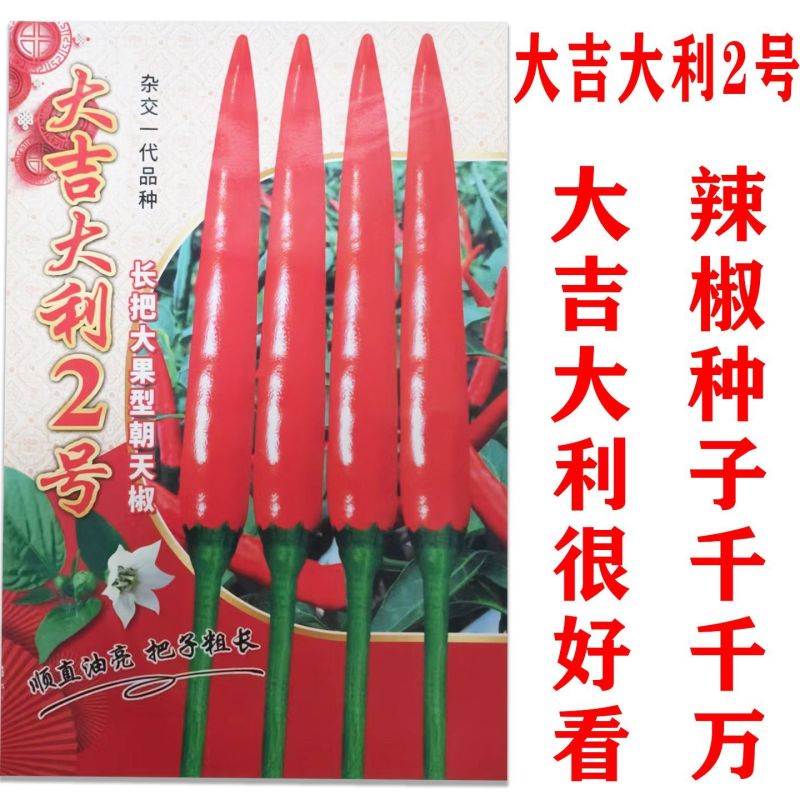 大吉大利2号辣椒种子大果长把抗性强高产大吉大利二号朝天椒