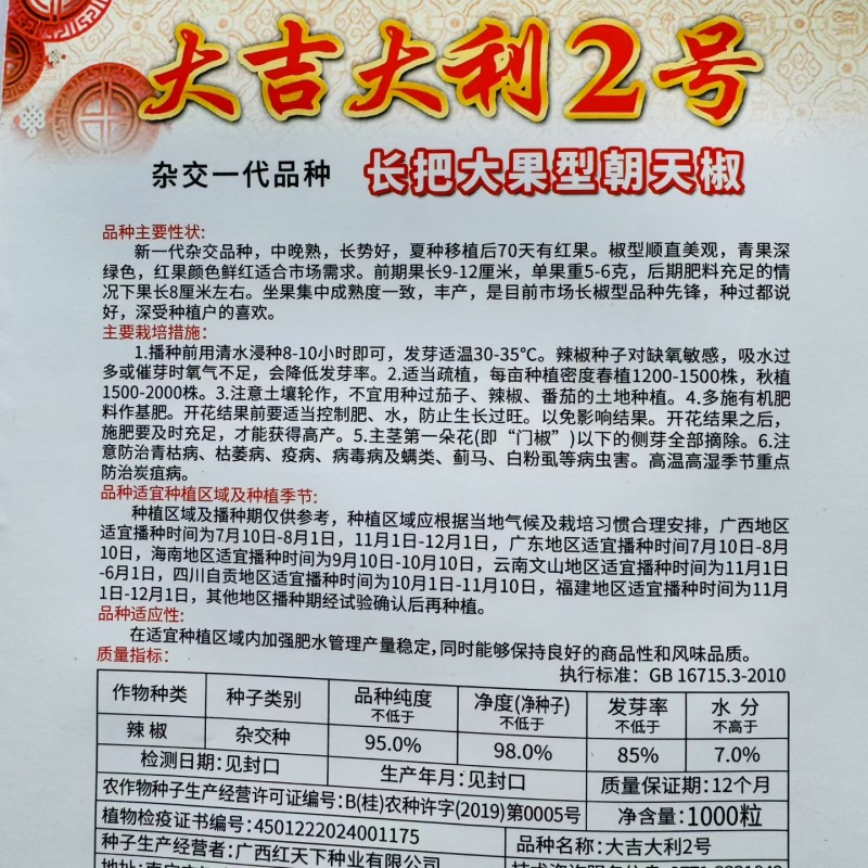大吉大利2号辣椒种子大果长把抗性强高产大吉大利二号朝天椒
