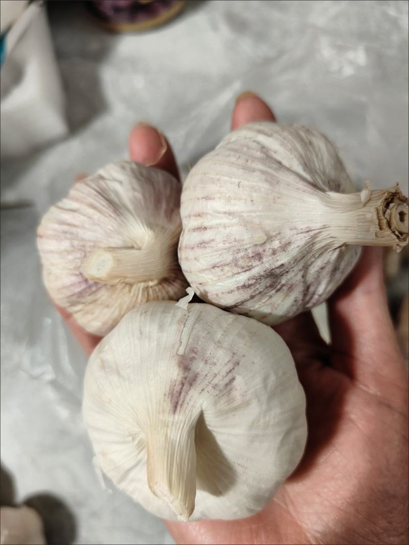 新鲜干大蒜，！包邮到家，精选大蒜，质量保证！快速发货！