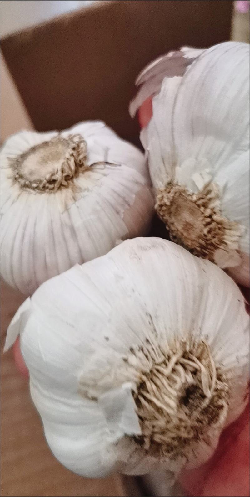 新鲜干大蒜，！包邮到家，精选大蒜，质量保证！快速发货！