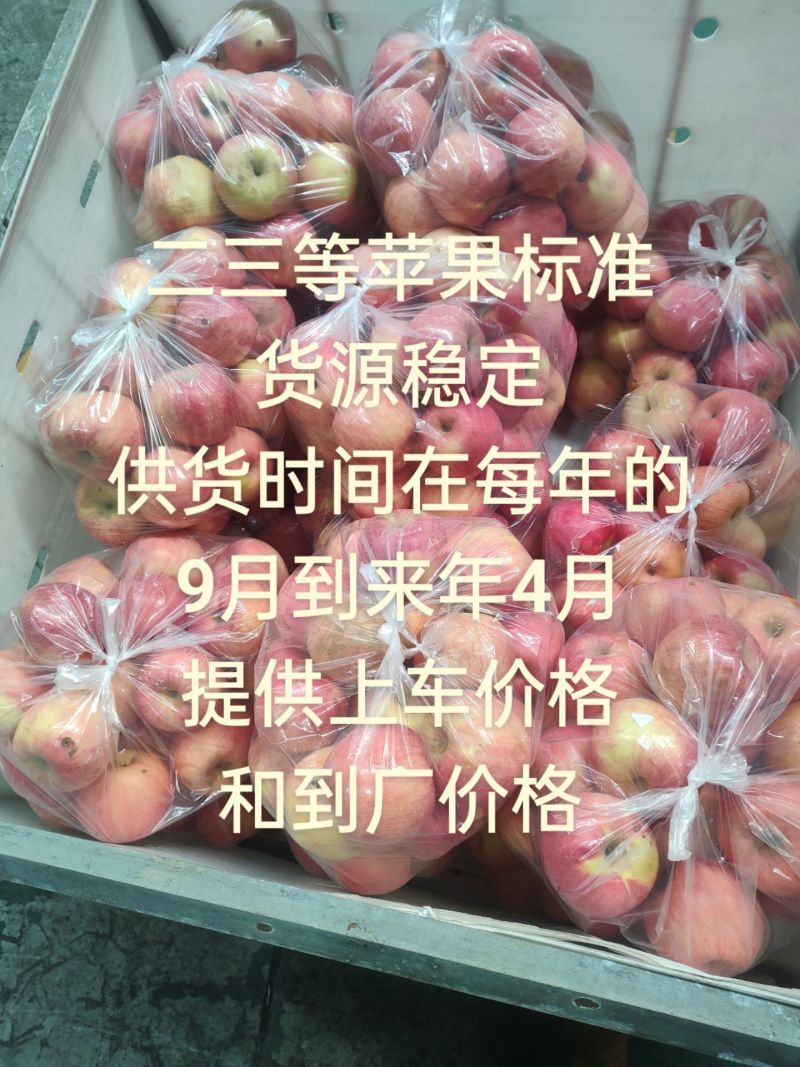 辽宁沙地苹果寒富苹果产地货源保证质量代发代购